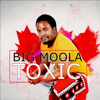 Toxic by Big Moola