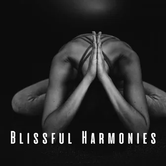 Blissful Harmonies: Chill Music for Calm Meditations by Jonci