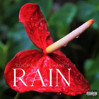 Rain by Soopa L