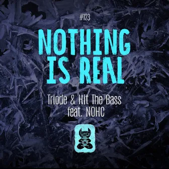 Nothing Is Real by Triode