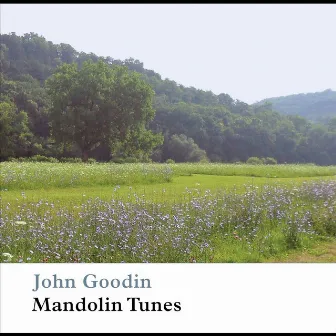 Mandolin Tunes by John Goodin