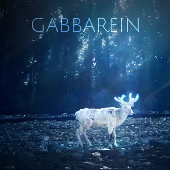 Gabbarein by Christopher Bono