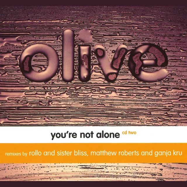 You're Not Alone - Radio Edit