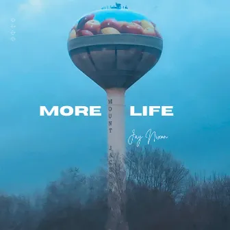 More Life by Jay Nixon