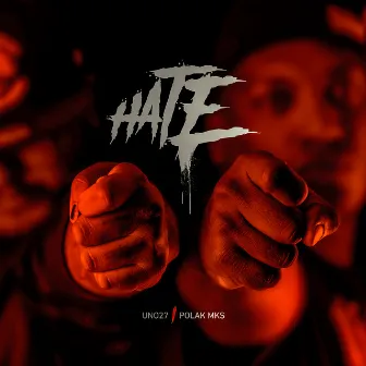 Hate by Unknown Artist