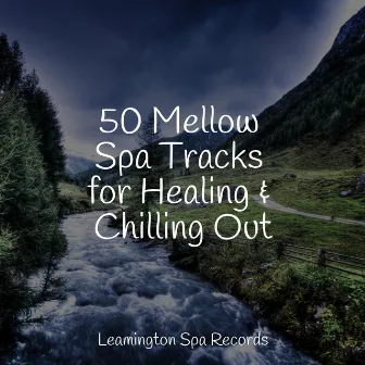 50 Mellow Spa Tracks for Healing & Chilling Out by Meditation Music Experience