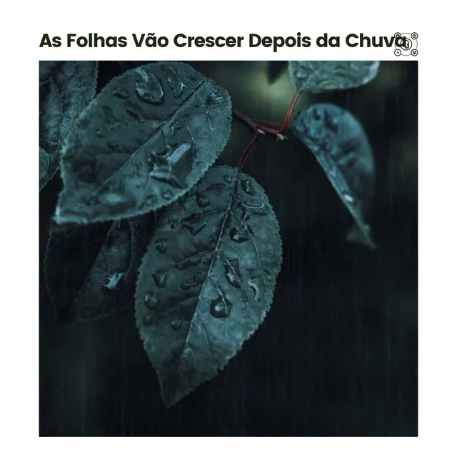 As Folhas Vão Crescer Depois da Chuva