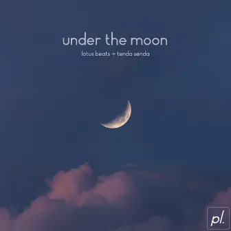 Under The Moon by Lotus Beats