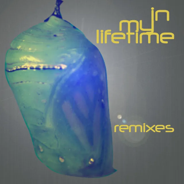 In My Lifetime feat. Tamara Wellons - Deetron Remix