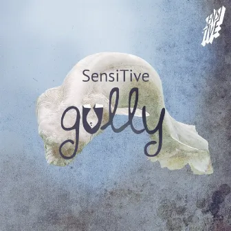 Gully by SENSITIVE