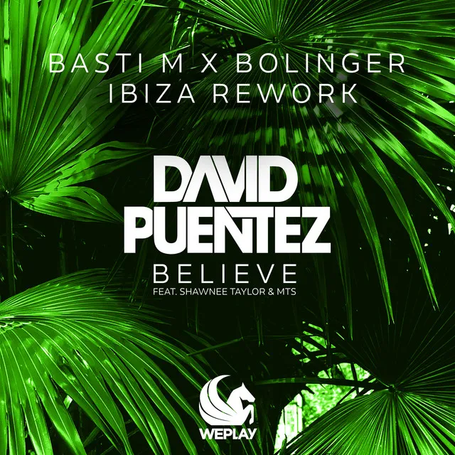 Believe (feat. Shawnee Taylor & MTS) - Basti M x Bolinger Ibiza Rework