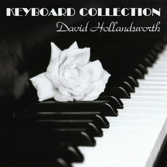 Keyboard Collection by David Hollandsworth