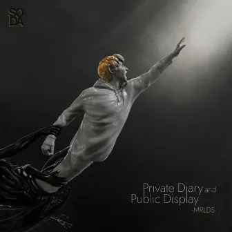 Private Diary & Public Display by Mrlds