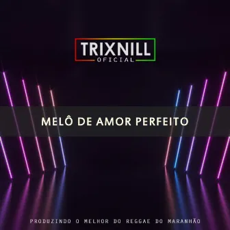 Melô de Amor Perfeito (Reggae Internacional) by TrixNill