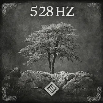 528 Cleanse by Drones, Tones and Waves