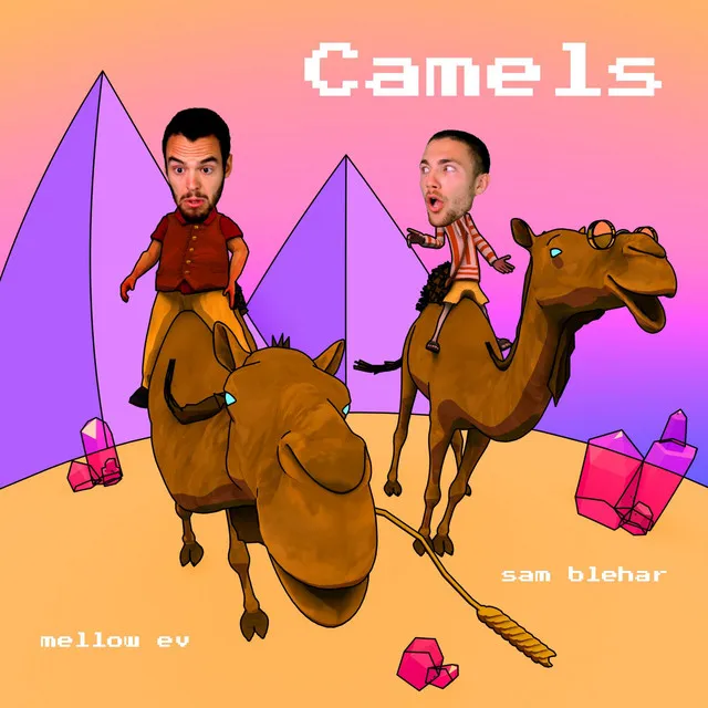 Camels