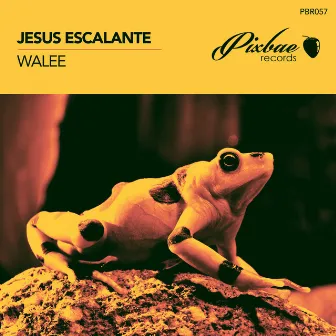 Walee by Jesus Escalante