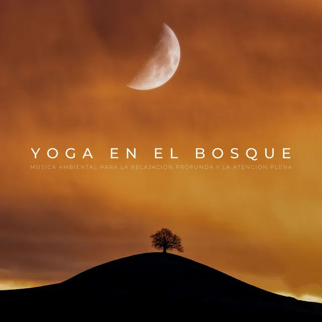 Ritmos de Yoga