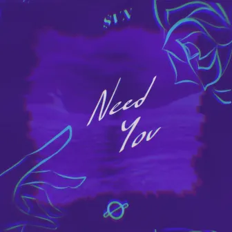 Need You (Slowed + Reverb) by $VN