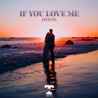 If You Love Me by J3NK!NS