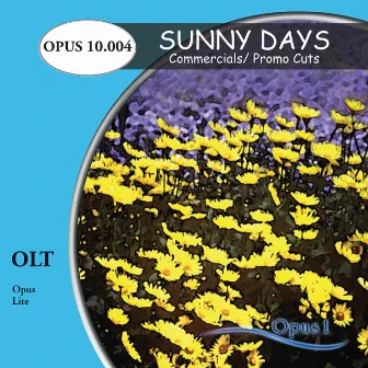 Sunny Days Commercials Promo Cuts by David Russell Alfonso