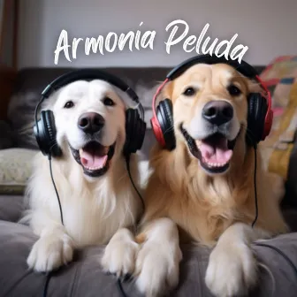 Armonía Peluda by Música para Mascotas