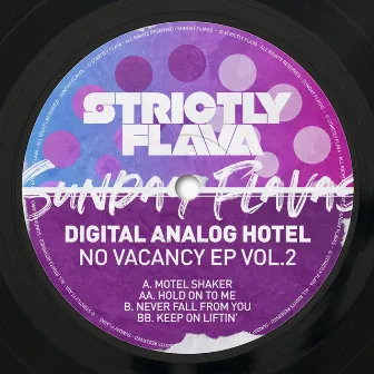 No Vacancy, Vol. 2 by Digital Analog Hotel