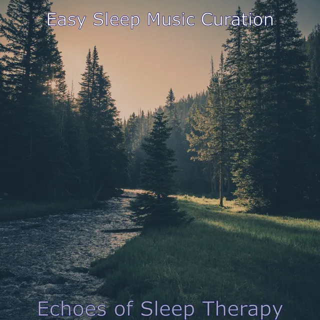 Echoes of Sleep Therapy