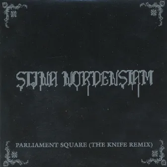 Parliament Square (The Knife Remix) by Stina Nordenstam