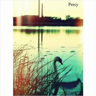 Percy by Percy