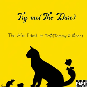 Try Me by The Afro Priest