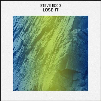 Lose It by Steve Eccö