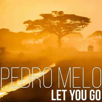 Let You Go by Pedro Melo