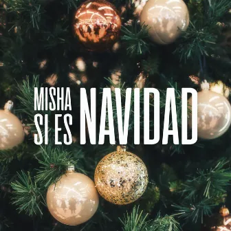 Si Es Navidad by Misha