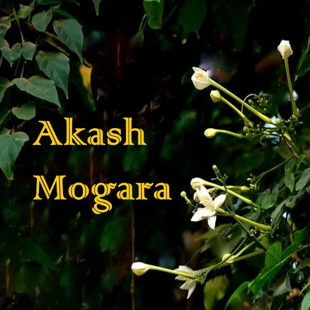 Akash Mogara