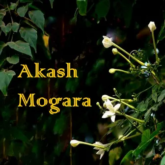 Akash Mogara by Anuradha Kuber