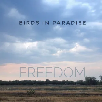 Freedom by Birds of Paradise