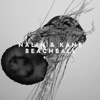 Beachball by Nalin & Kane