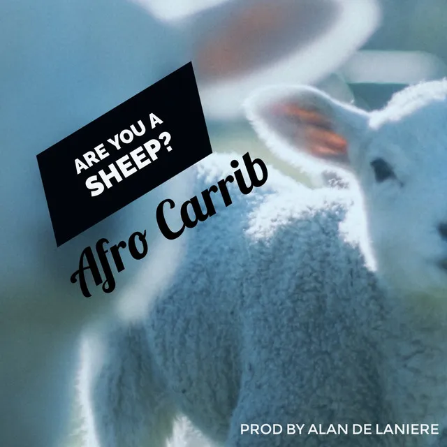 Are You A Sheep ?