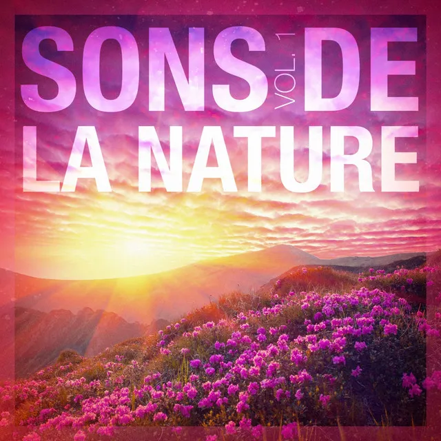 Sons de la nature, vol. 1