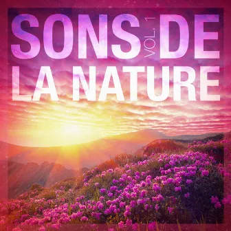 Sons de la nature, vol. 1 by Musique et sons naturels