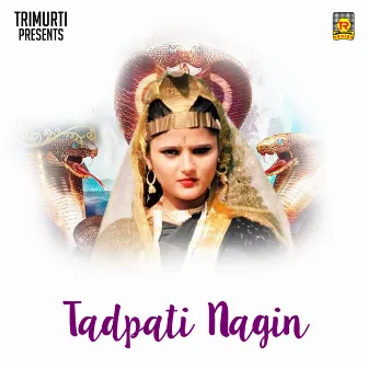 Tadpati Nagin by Unknown Artist