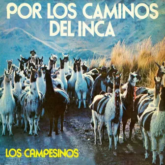 Por los Caminos del Inca by Los Campesinos