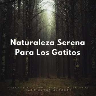 Naturaleza Serena Para Los Gatitos: Paisaje Sonoro Tranquilo De Aves Para Gatos Alegres by Sonidos de pájaros suecos