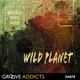 Wild Planet - Worldbeat Global Groove by Daniel Delaney