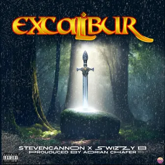 Excalibur by Adrian Chafer