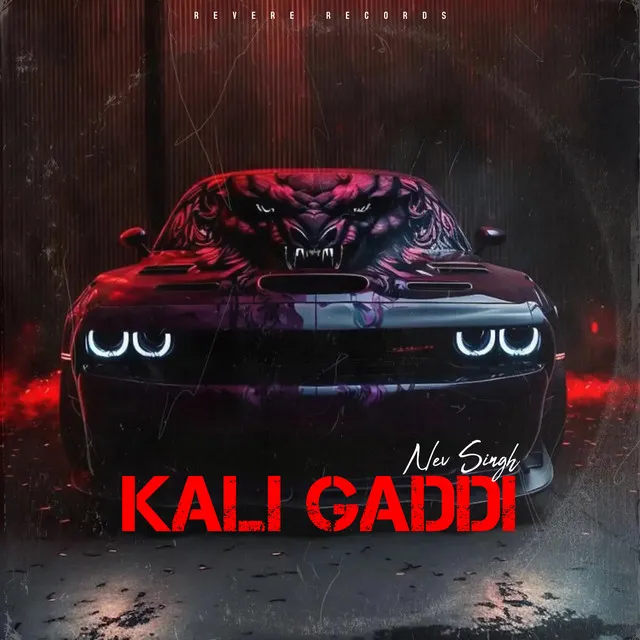 Kali Gaddi