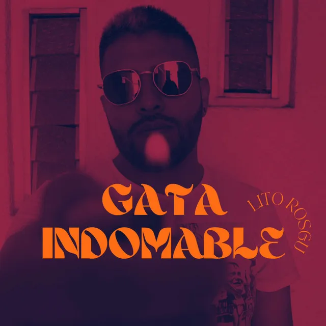 Gata Indomable