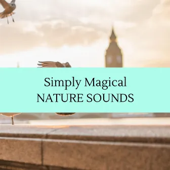 Simply Magical - Nature Sounds by Cosmic Rain Sounds