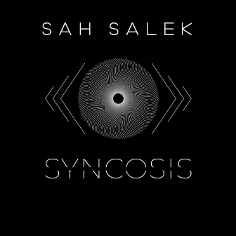 Sah Salek by Syncosis